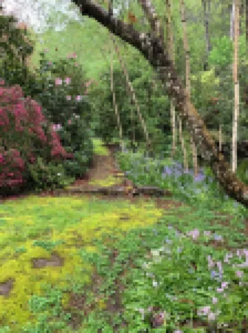 Alpine Delux Cottage, 8 acres of magnificent garden on the Ovens River.