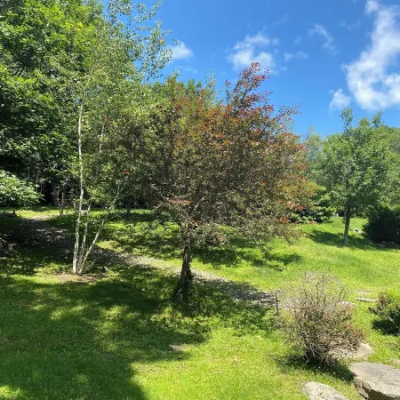 Amazing Mountain View’s from every room! Hot Tub/3 Fire pits & Game Rm