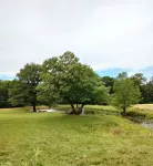 Texas Tin Star Tiny Home-Dusty Feathers Ranch. 9acres. Close to Cedar Creek Lake