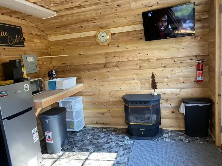 Cozy Little Cabin sleeps 4