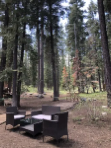 LOCATION! - PETS -  FAST WIFI -  CLOSE TO SKI/BEACH - PELOTON BIKE!