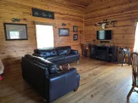 Quaint cabin with AC in Weaubleau
