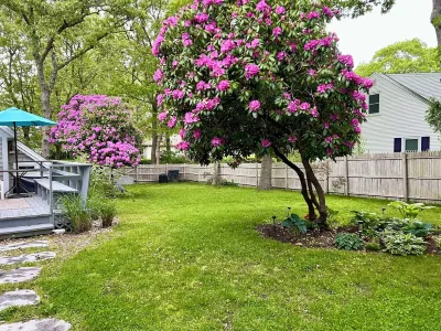 Studio Apartment at The Shire - Cape Cod