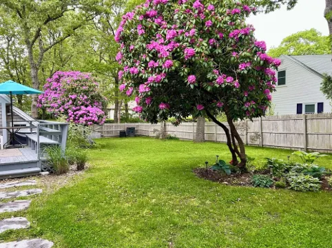 Studio Apartment at The Shire - Cape Cod 이스트 팰머스 호텔