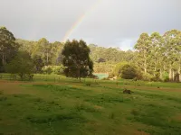 Cabins Nestled in 170 Acres of old Growth Forest Near the Valley of the Giants Hotels in Walpole