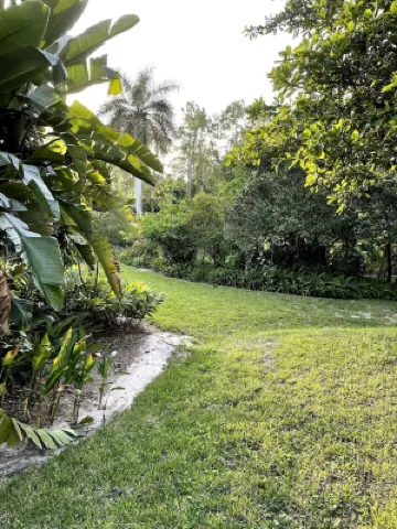 Charming Guest Quarters in Separate Building