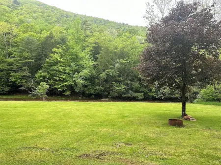 Rustic Cabin on beautiful Little Pine Creek