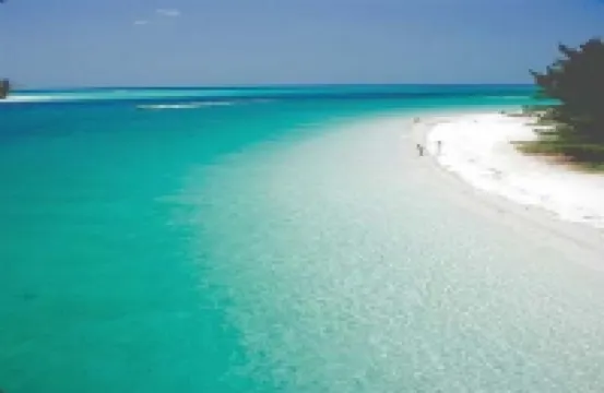 2b/2ba, HotTub, Walk To Shops, Dining! Beach Close! Wkly/Mo Discounts! Boat Opt!