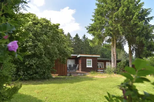 Dream vacation at the Zeulenrodaer Meer, use of sauna, experience nature, enjoy peace and quiet