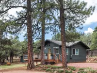 Cozy Romantic Cabin in Pine, AZ Hotels in Pine