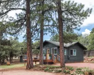 Cozy Romantic Cabin in Pine, AZ