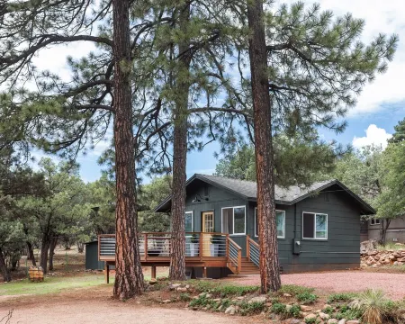 Cozy Romantic Cabin in Pine, AZ