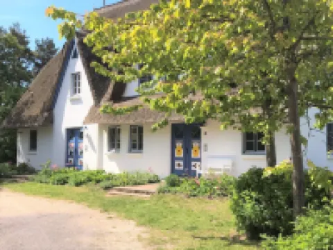 Vacation apartment in a thatched house, directly on the beach for 2-4 people