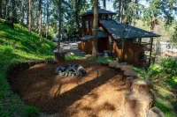Tranquil Forested Cabin with Sauna, Home Gym, & AC