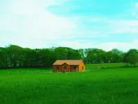 Family Friendly Log Cabin