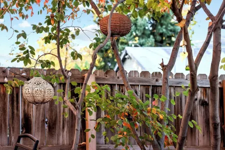 Charming cottage in Denver's Park Hill neighborhood. Fenced yard + pet friendly.