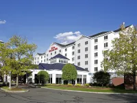 Hilton Garden Inn Springfield, MA Hotels near Springfield Museum