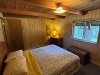 Riverfront and mountain view cabin with WiFi in Packwood Hotels near La Wis Wis Campground