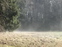 Country house Eichengarten spacious & elegant-6 bedrooms, 7 bathrooms, 12 pers.