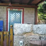 the blue strawberry tree apartment