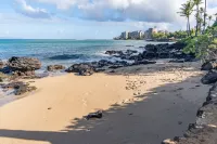 Maui Mahinaa Surf Oceanfront Condo with a great view Kahana area