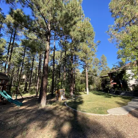 Family Getaway in the Pines