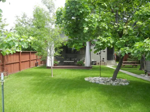 Moose Traks Come stay in Downtown Red Lodge,  2 blocks from Broadway Street Hotels in Red Lodge