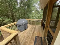 LAKEFRONT HARTWELL! Good dogs welcome! Covered dock, fire pit, kayaks!