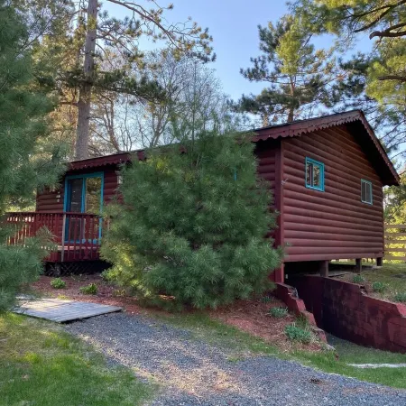 Rustic and Charming one Bedroom cabin. Upgraded pontoon!