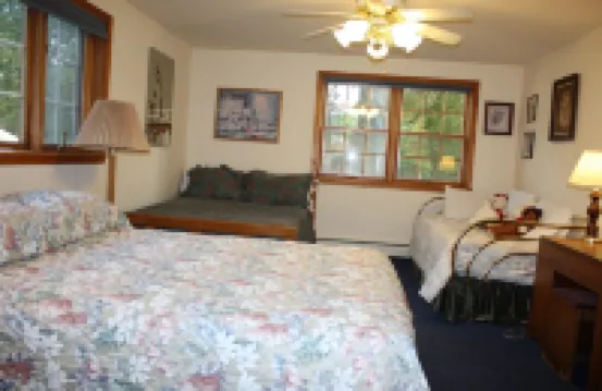 Large  Lakefront Home on Burt Lake, ICE FISHING Hunting, fishing snow sking golf