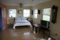 Waterfront Sunset Nature Reserve Kayak Eagle Osprey Snakehead Butterflies