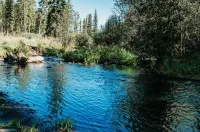 Updated cabin walking distance to both restaurants and amazing hiking trails!