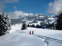 Mountain Chalet with Wellness Area