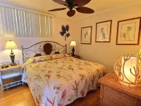 Maui Ocean Beach Front Amazing Views Thanksgiving Special 275 Nightly