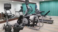 Holiday Inn Express & Suites PIGEON FORGE - SEVIERVILLE by IHG - Gym