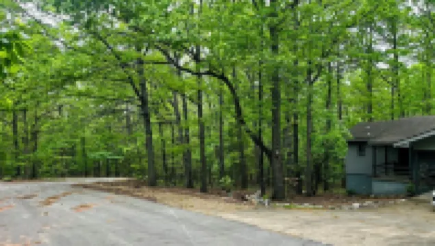 Tranquil Cabin Like Home in Hot Springs Village.