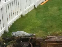 Pew with a View - Seafront Cottages Hotels in Fraserburgh