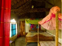 背包客生態村酒店 南24區縣酒店