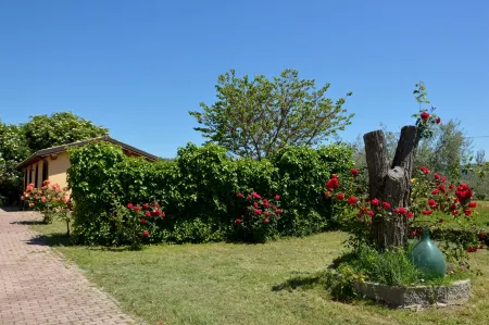 Podere la Damesca - Agriturismo "La Fraschetta" Отели в г. Аквапенденте