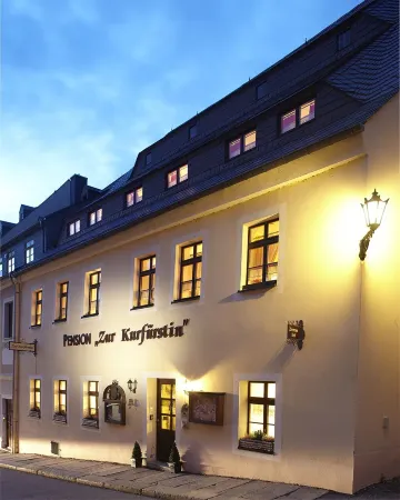 Pension Zur Kurfürstin Отели в г. Визенбад