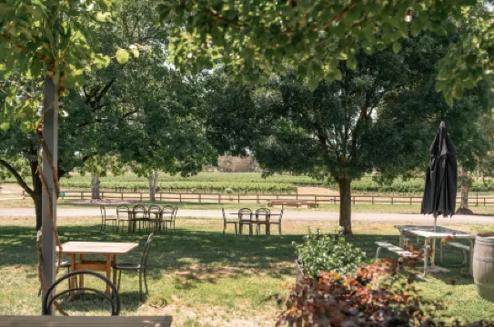 巴爾戈尼莊園本迪戈