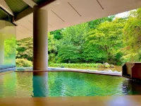 Ryumontei Chiba Ryokan - avec sources thermales