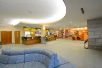 Hotel Lavenir Hotels in Biei