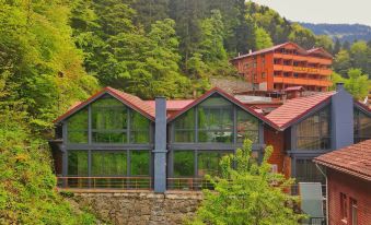 Kaya Residence
