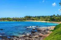 Napili Point C-12 - 2Br Condo Hotels in Napili-Honokowai