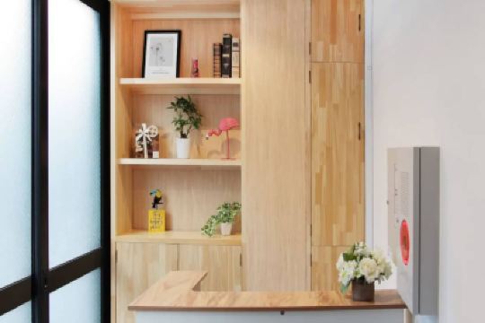 Public Areas Dandelion Photo