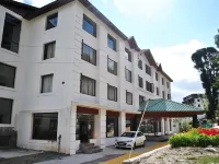 Hotel Natraj International Hotels in Patnitop