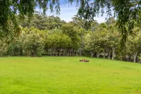 Lumeah Retreat Bruny Island Các khách sạn ở Alonnah