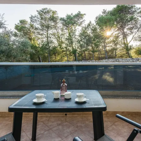 Apartment Vujeva Hotels in Vir