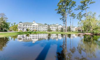 Mini Oasis Studio 10 Min to All Myrtle Beach